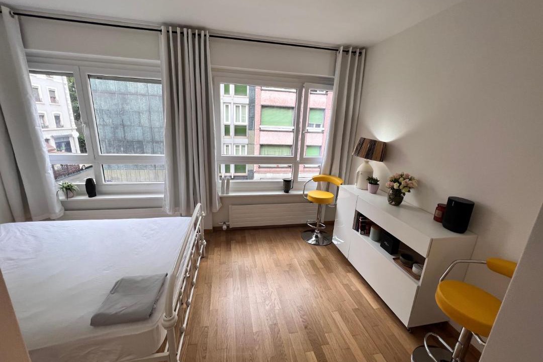 Paquis Navigation Apartment | Private Stylish Modern Studio In The City Centre