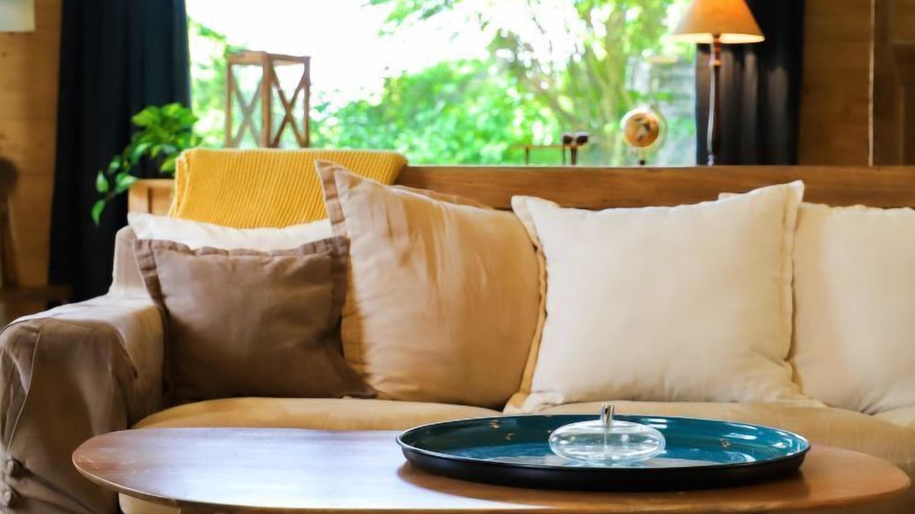 Photo of Livingroom in Chesieres
