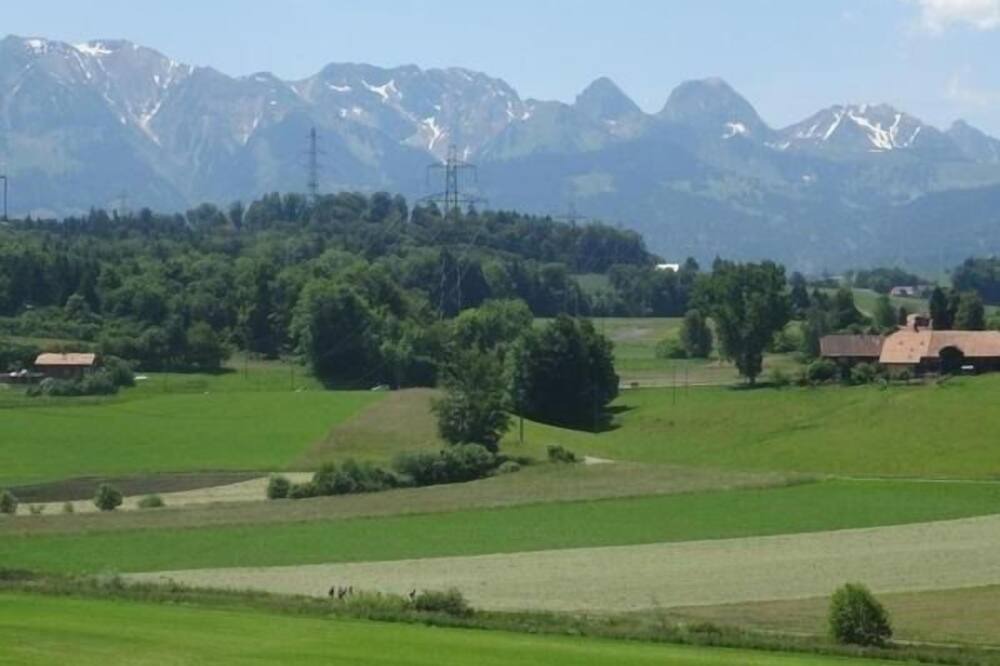 Photo of Others in Kienersruti