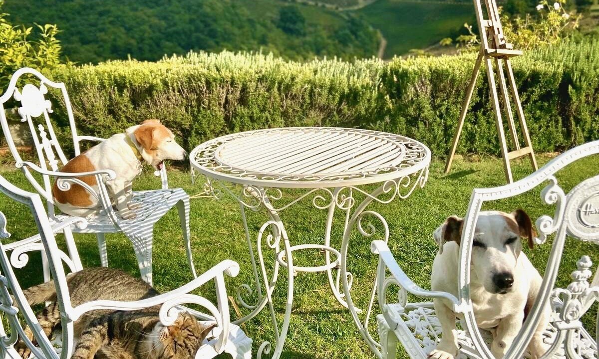 Photo of Outdoor in San Pietro in Bossolo