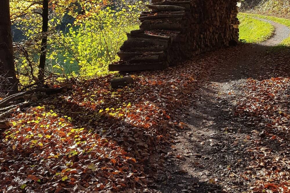Photo of Outdoor in Les Posses-sur-Bex