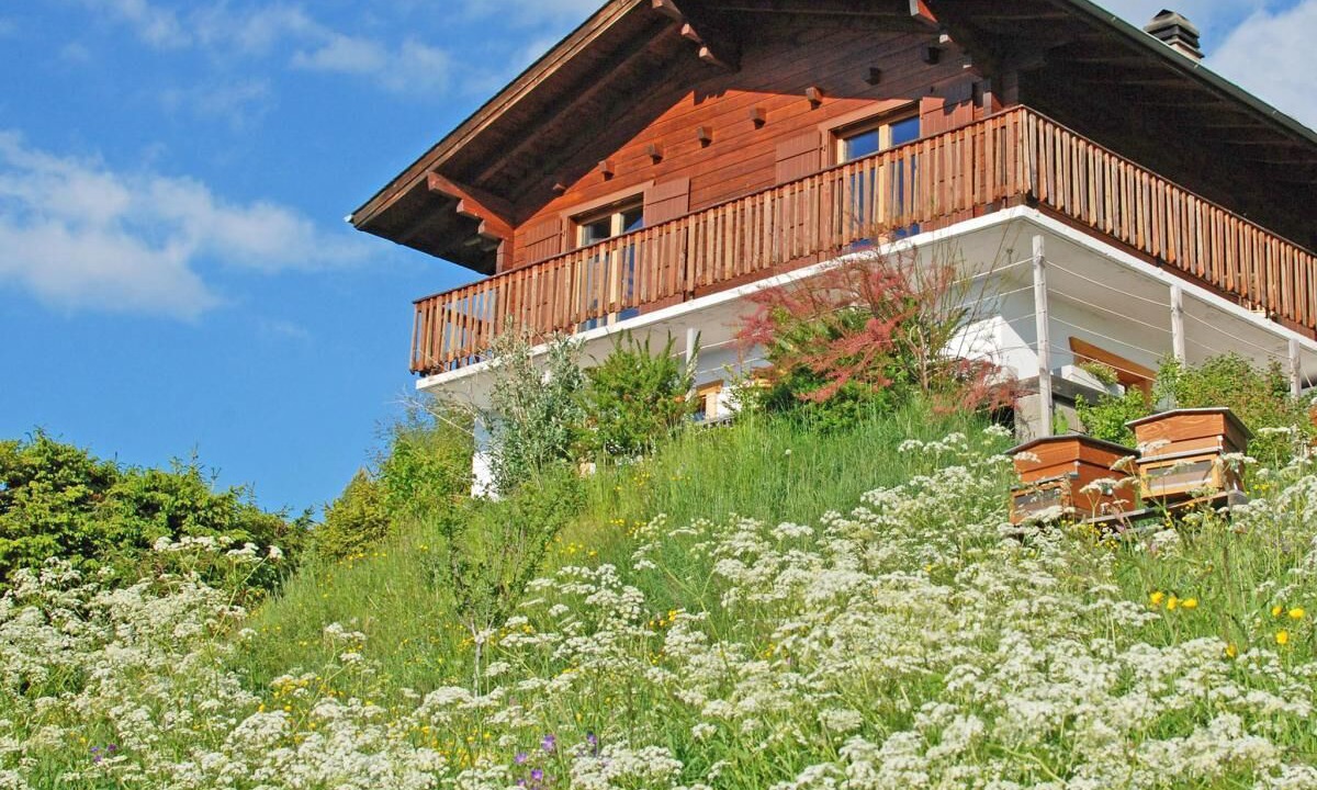 Photo of Outdoor in Veysonnaz