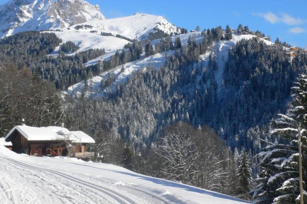 Photo of Others in Villars-sur-Ollon