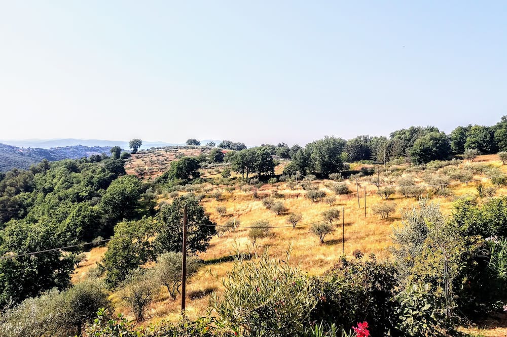 Photo of Outdoor in Collemancio