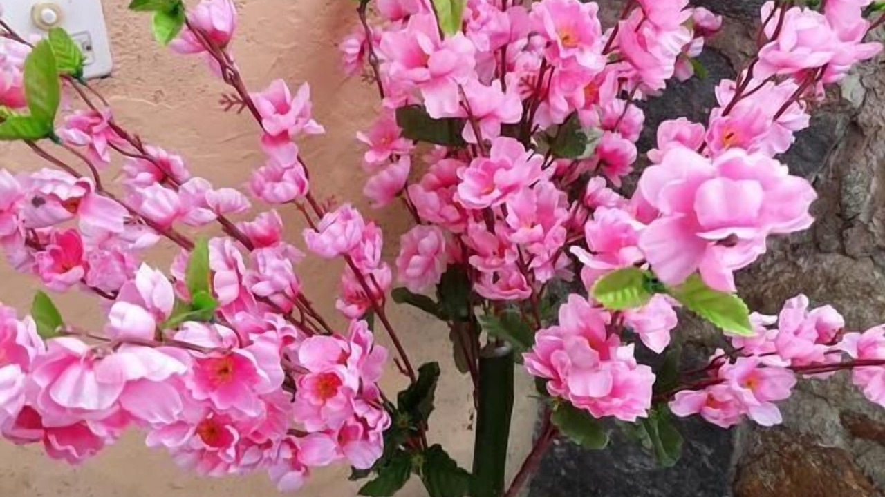 Photo of Outdoor in Piazzogna