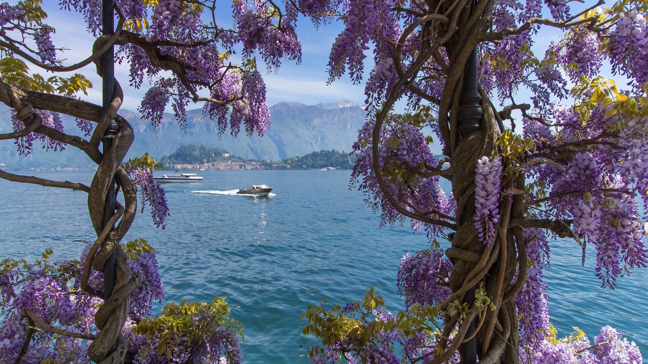 Photo of Outdoor in Bellano