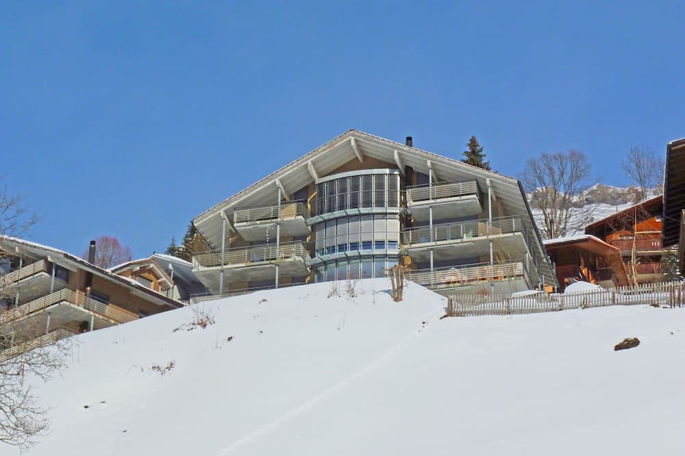 Photo of Others in Wengen