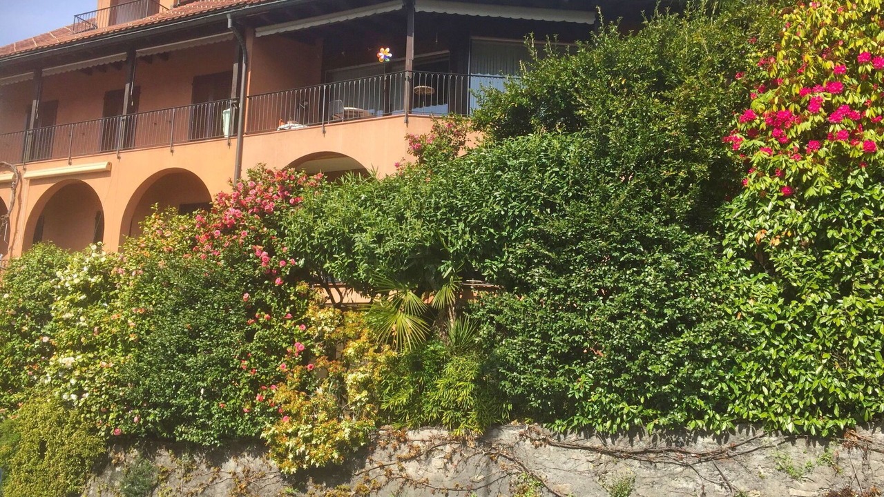 Photo of Outdoor in Orselina