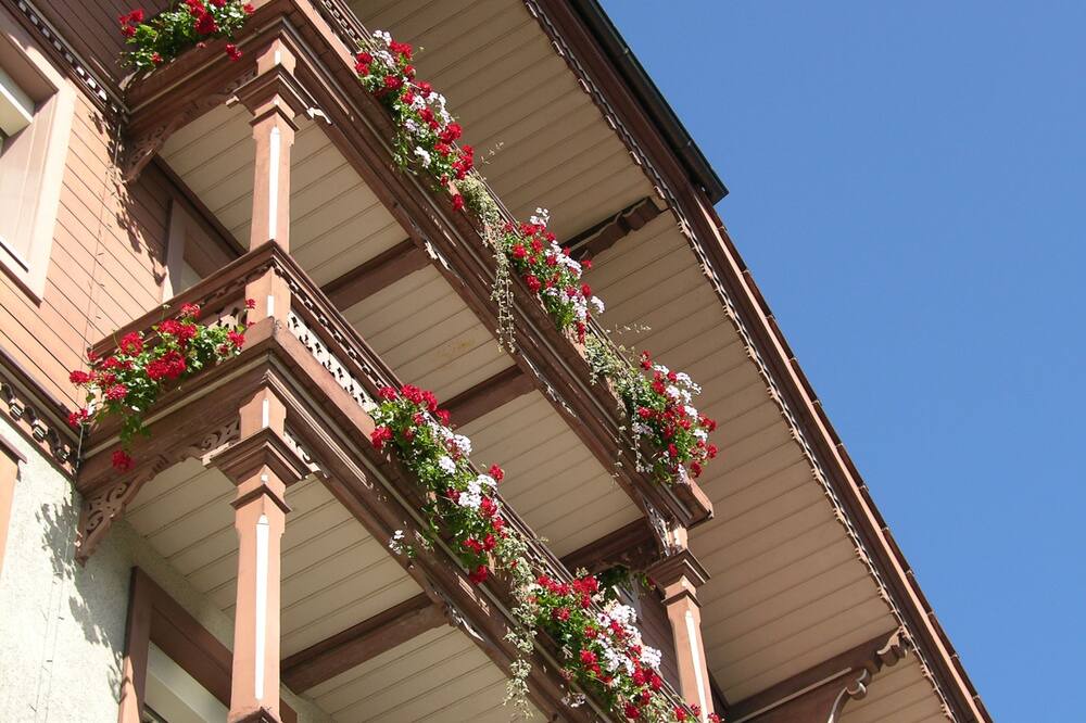 Photo of Outdoor in Matten bei Interlaken