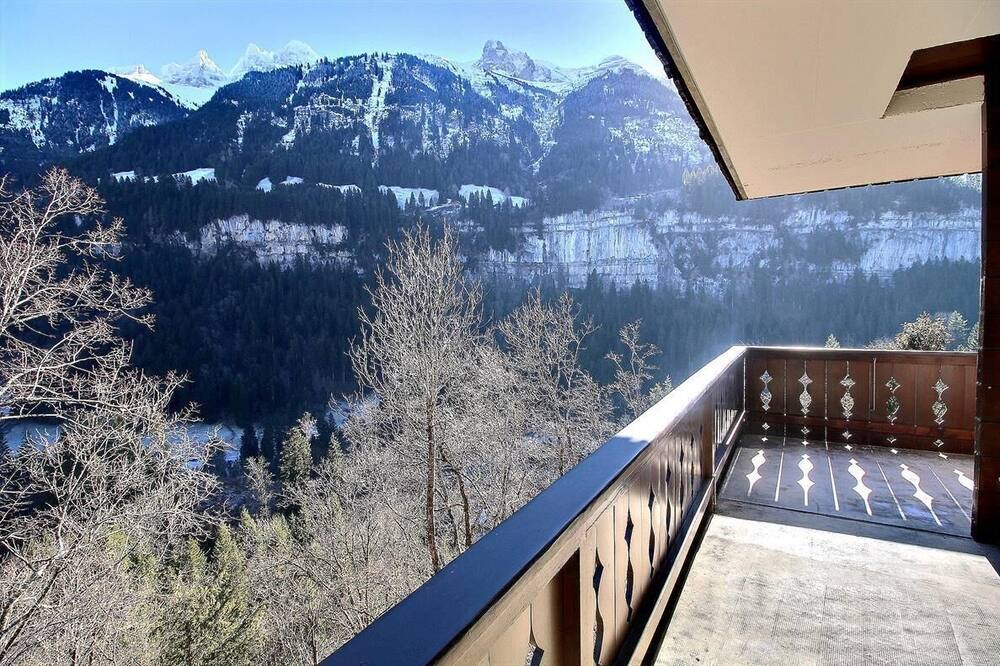 Photo of Others in Champery