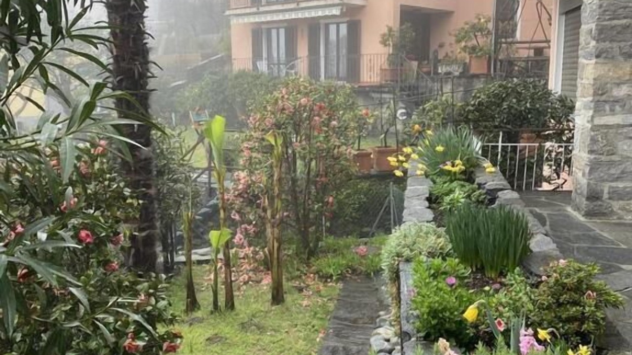 Photo of Outdoor in Orselina