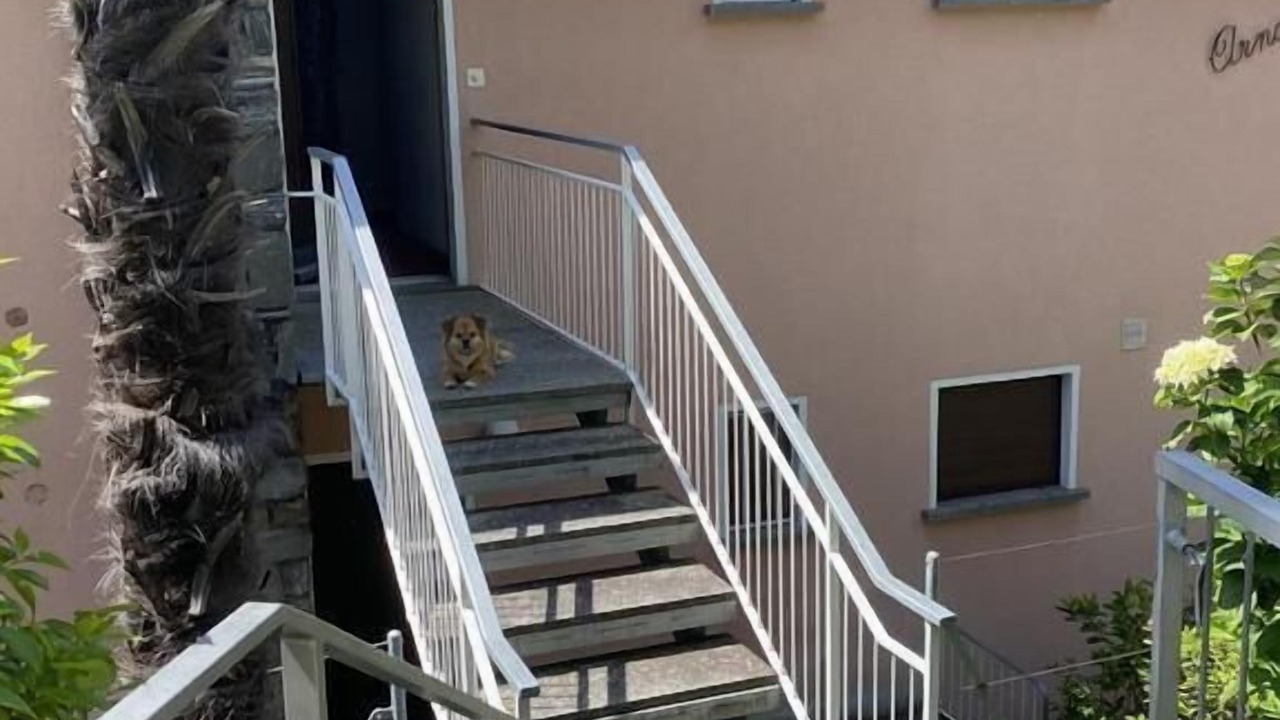 Photo of Outdoor in Orselina