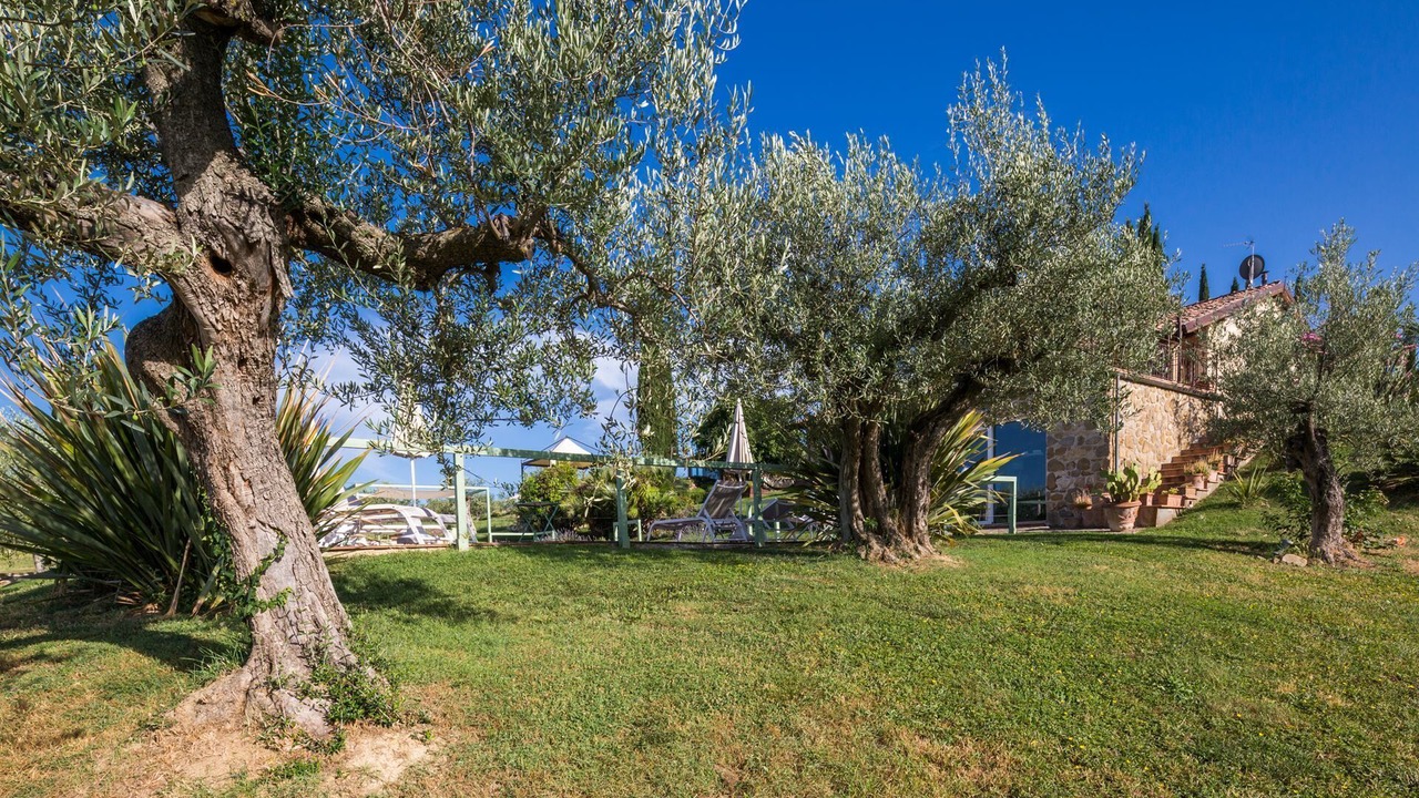 Photo of Outdoor in Cannara