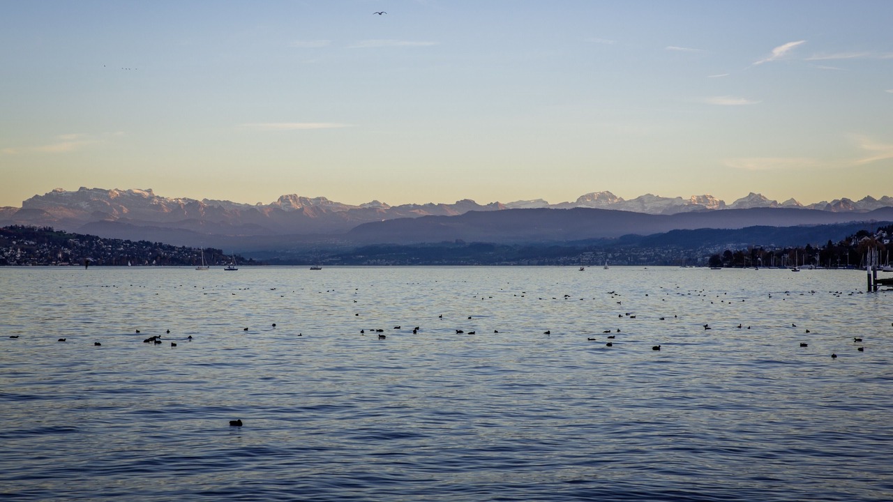 Photo of Others in Meilen District