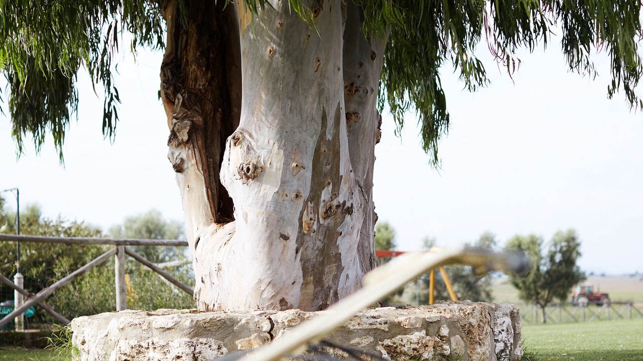 Photo of Outdoor in Tarquinia