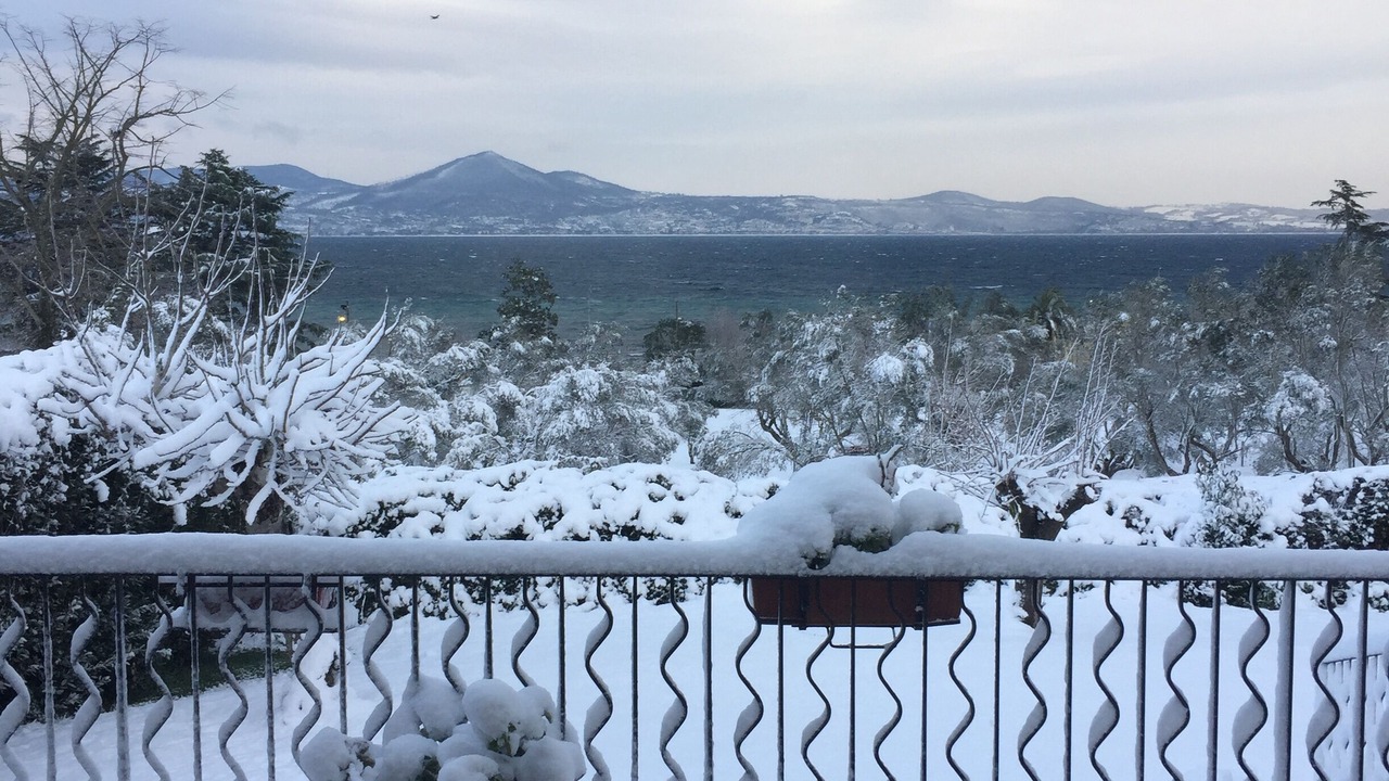 Photo of Outdoor in Lungolago