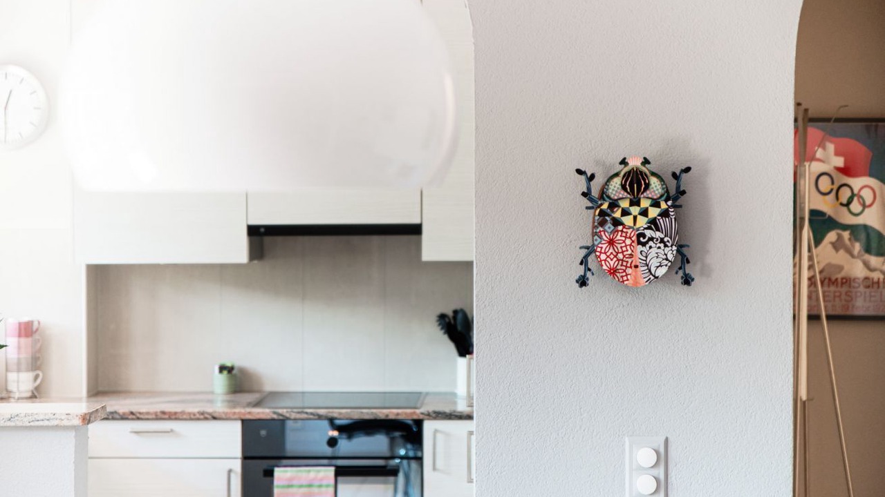 Photo of Kitchen in Viganello
