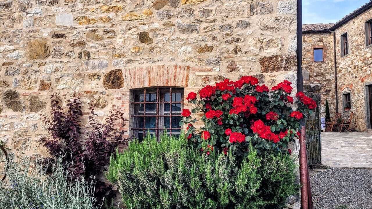 Photo of Outdoor in Radda in Chianti