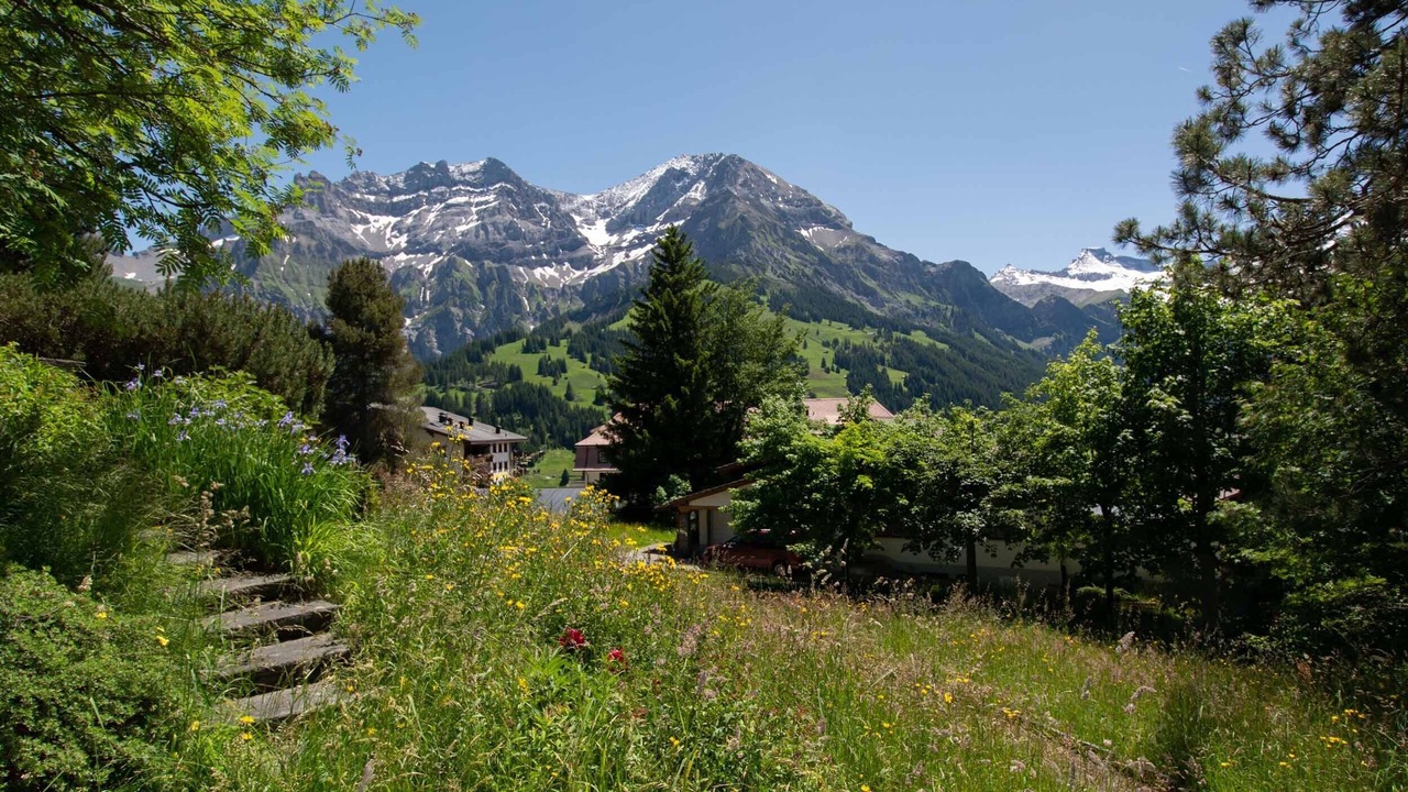 Photo of Outdoor in Adelboden