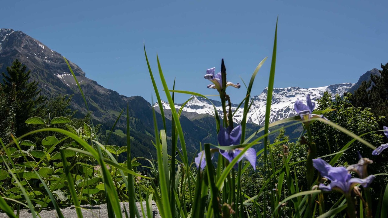 Photo of Outdoor in Adelboden
