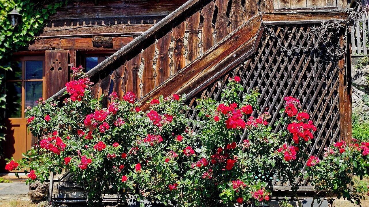 Photo of Outdoor in Les Posses-sur-Bex
