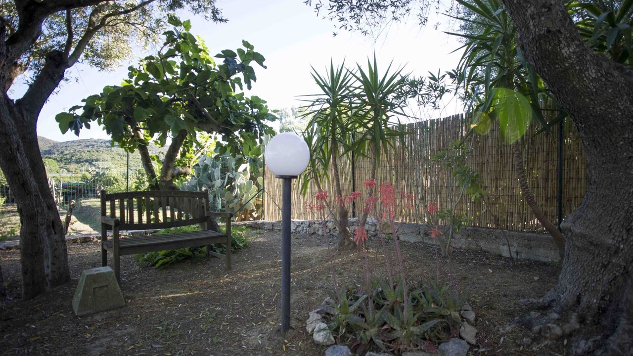 Photo of Outdoor in Marina di Campo