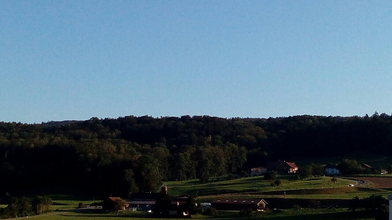 Photo of Others in Uster District