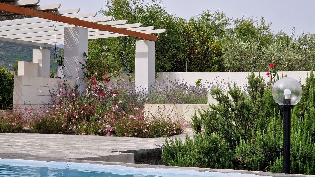 Photo of Outdoor in Loiri Porto San Paolo