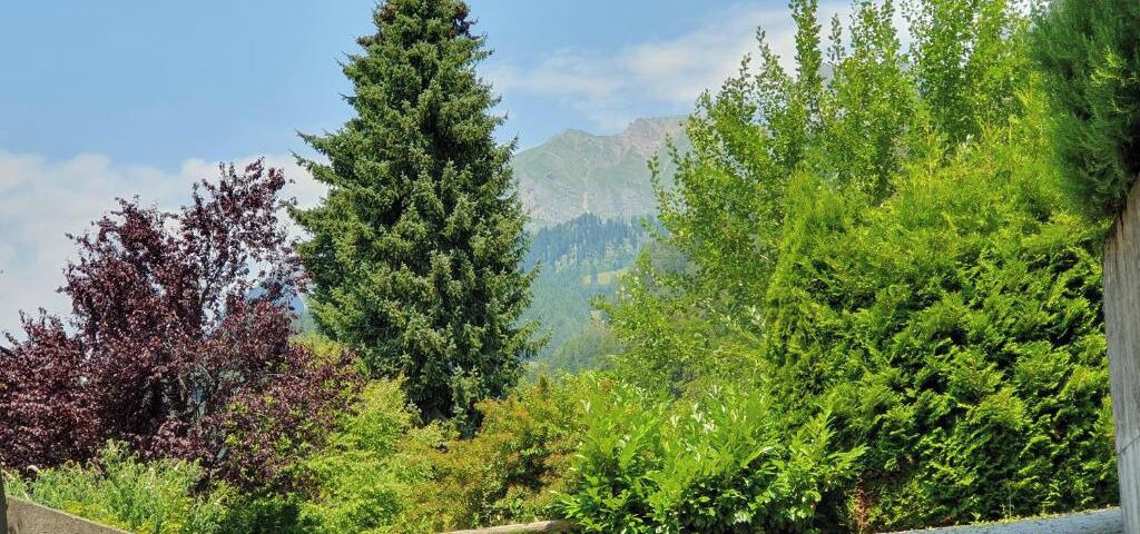 Photo of Outdoor in Jenins