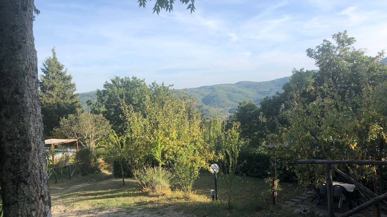 Photo of Outdoor in Castel Focognano