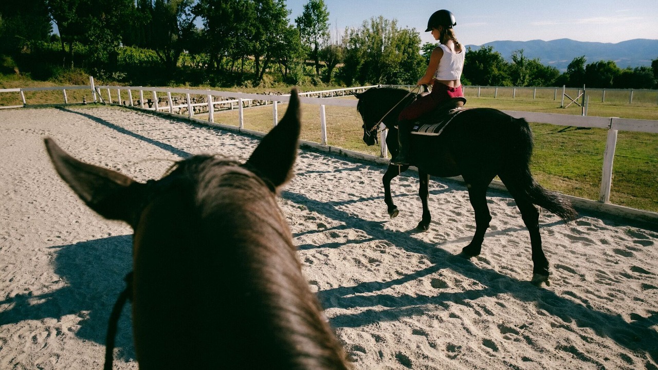 Photo of Others in San Donato in Fronzano