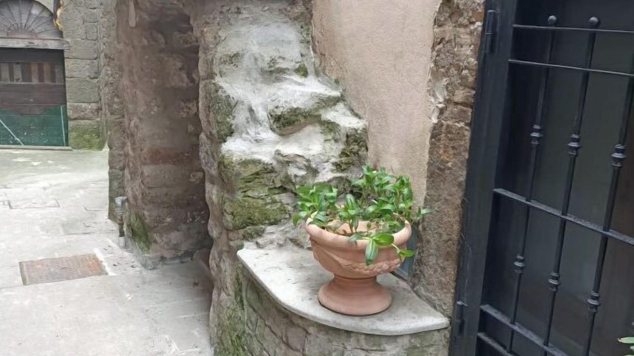 Photo of Outdoor in Bomarzo
