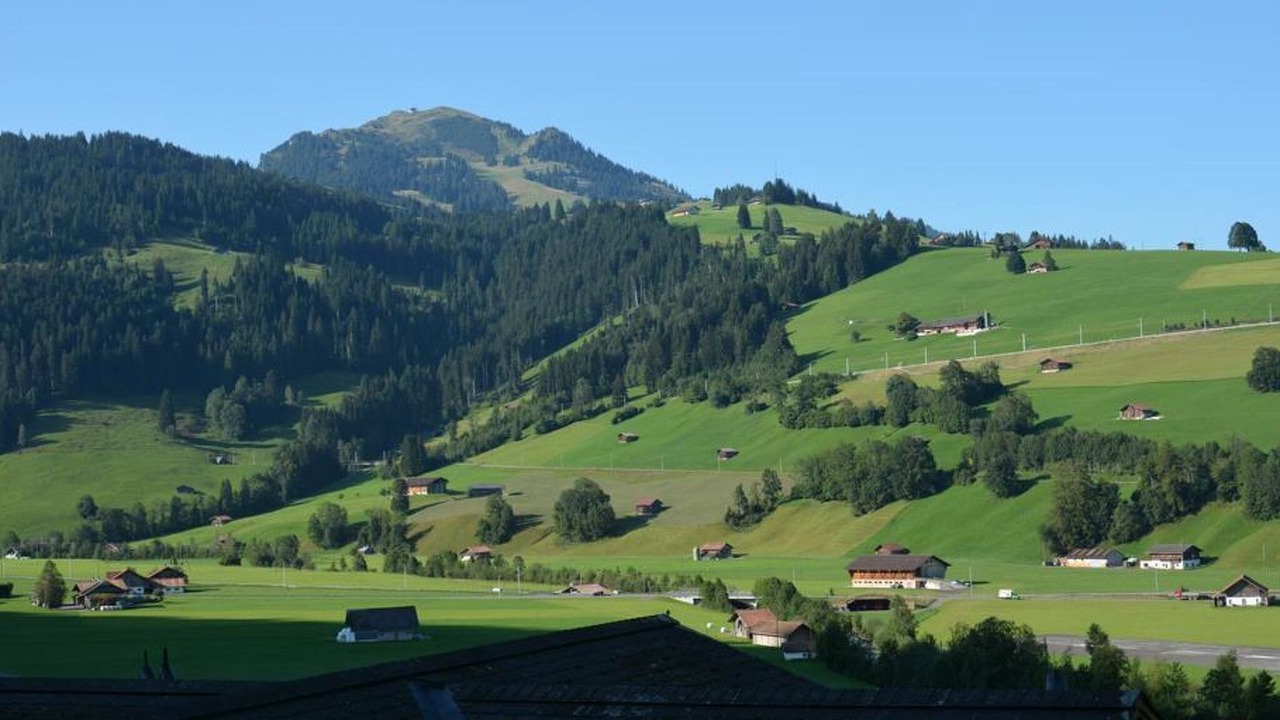 Photo of Others in Zweisimmen