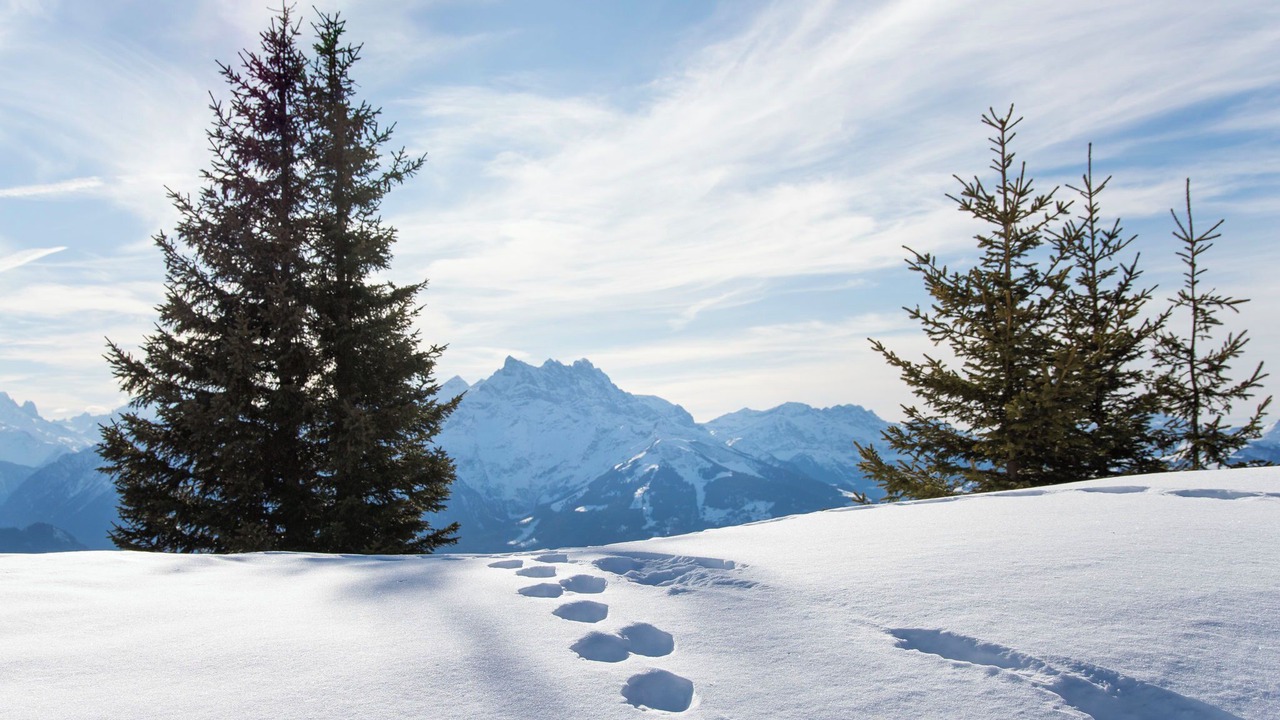 Photo of Others in Villars-sur-Ollon