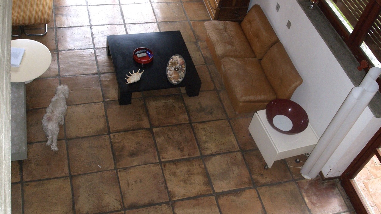 Photo of Livingroom in Marina Velca