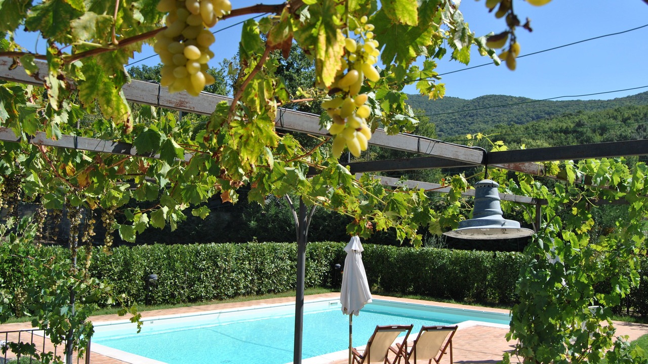 Photo of Outdoor in Portaria