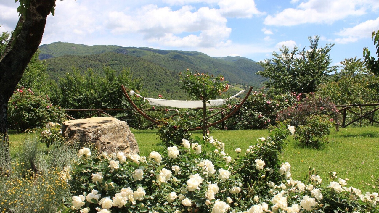 Photo of Outdoor in Spoleto