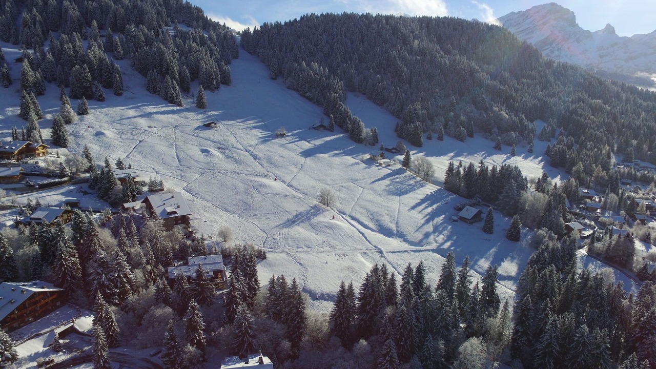 Photo of Others in Villars-sur-Ollon
