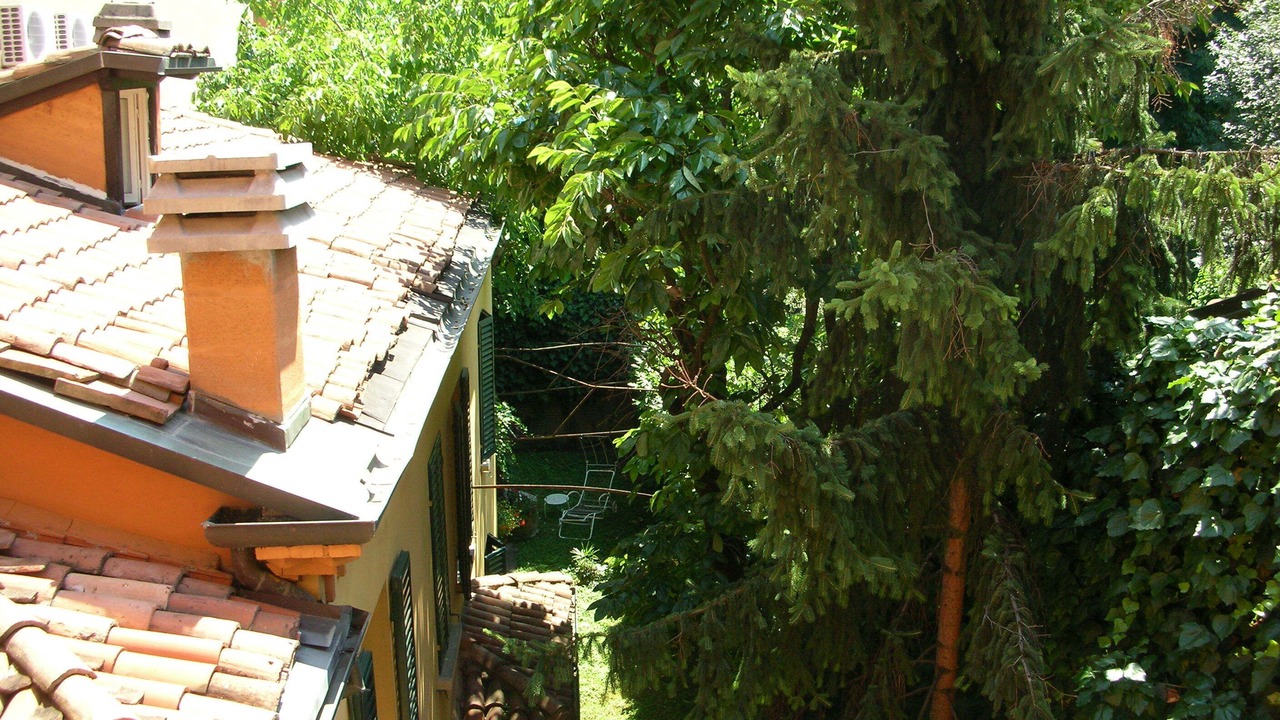Photo of Outdoor in Historic Center