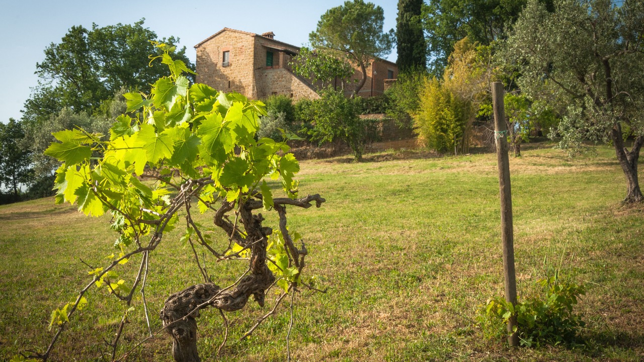 Photo of Outdoor in Pienza