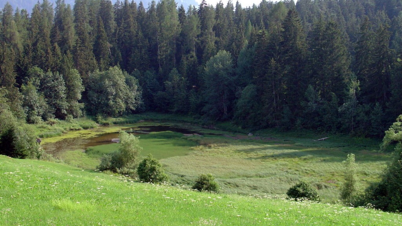 Photo of Outdoor in Laax