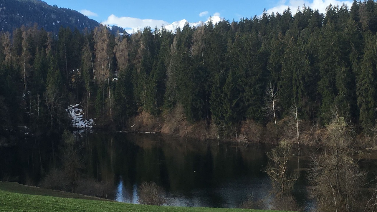 Photo of Others in Laax