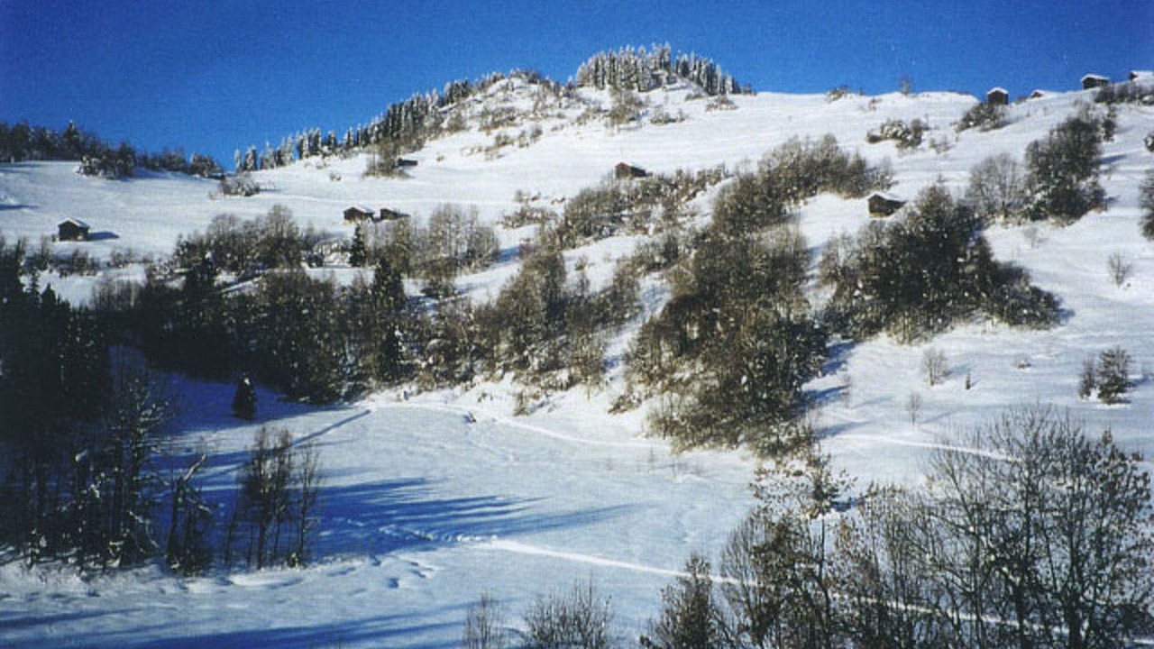 Photo of Others in Laax