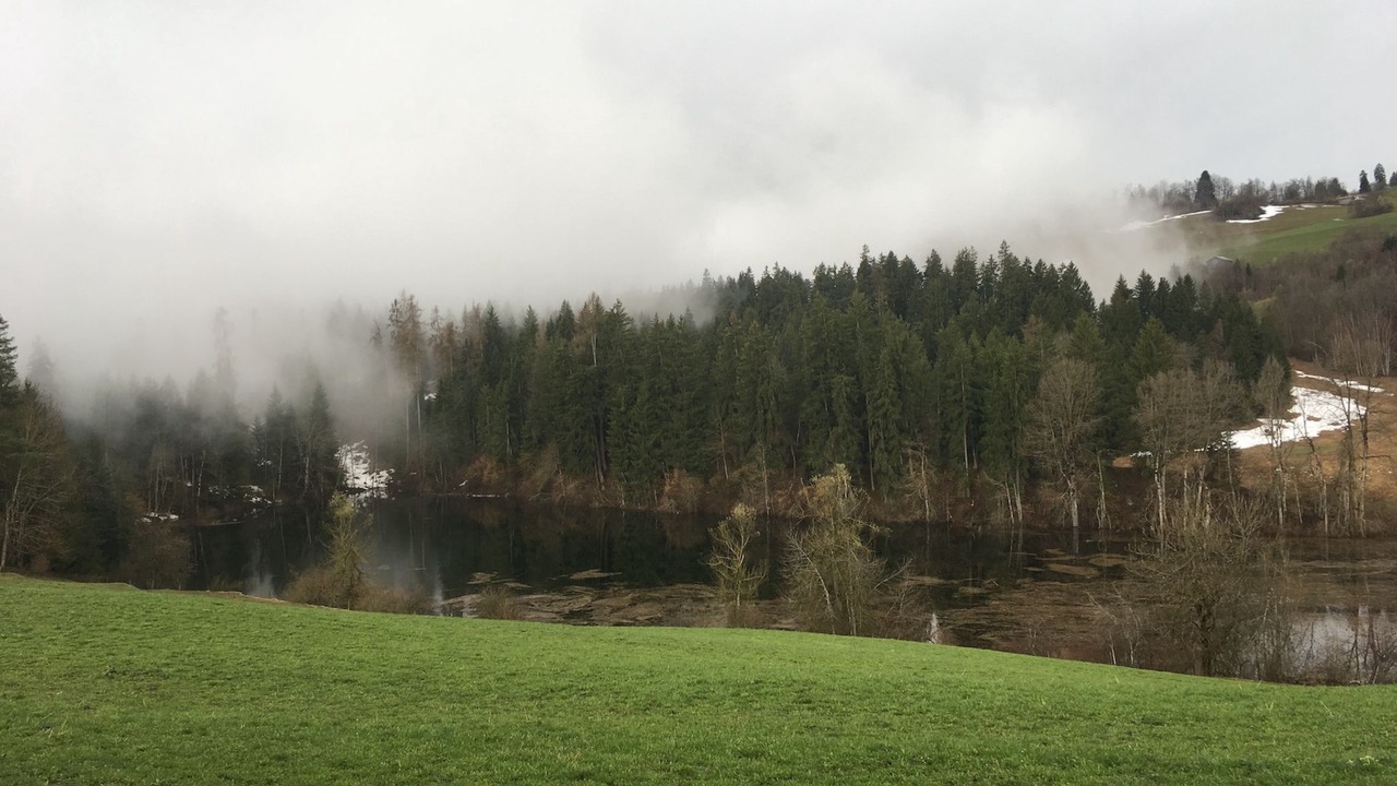 Photo of Others in Laax