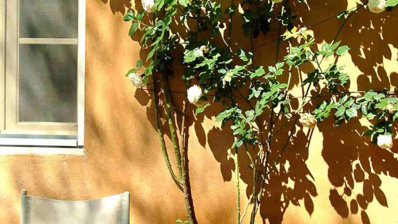 Photo of Outdoor in Ponte di Gabbiano