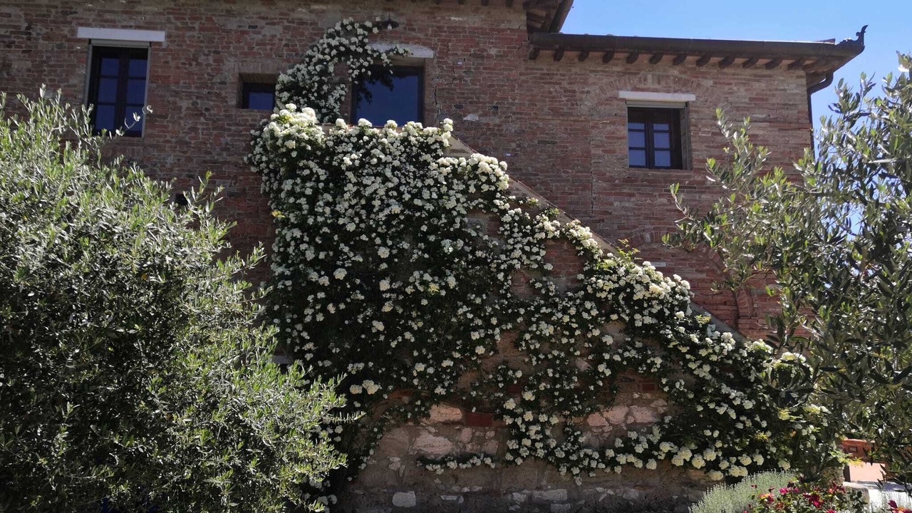 Photo of Outdoor in Ponte di Gabbiano