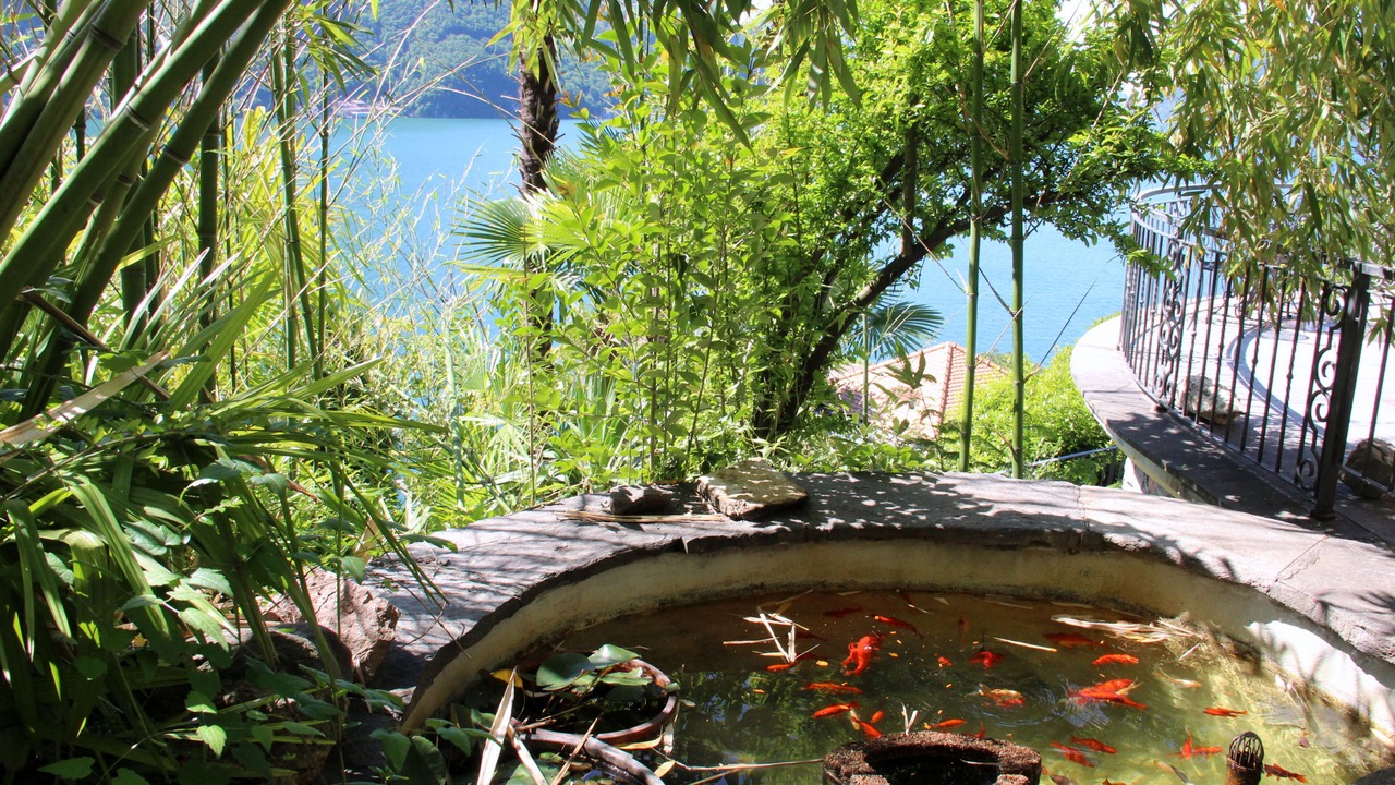 Photo of Outdoor in Castagnola