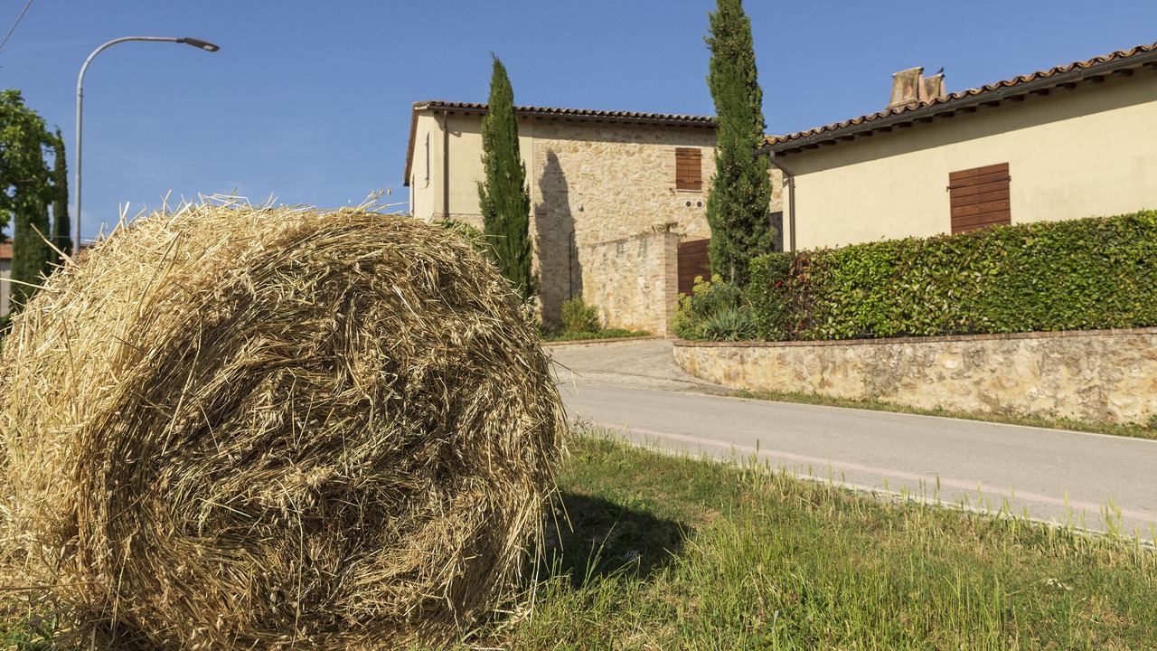 Photo of Outdoor in Avigliano Umbrio