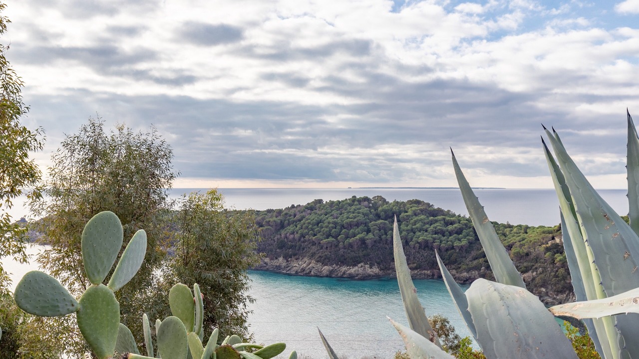 Photo of Others in Campo nell'Elba