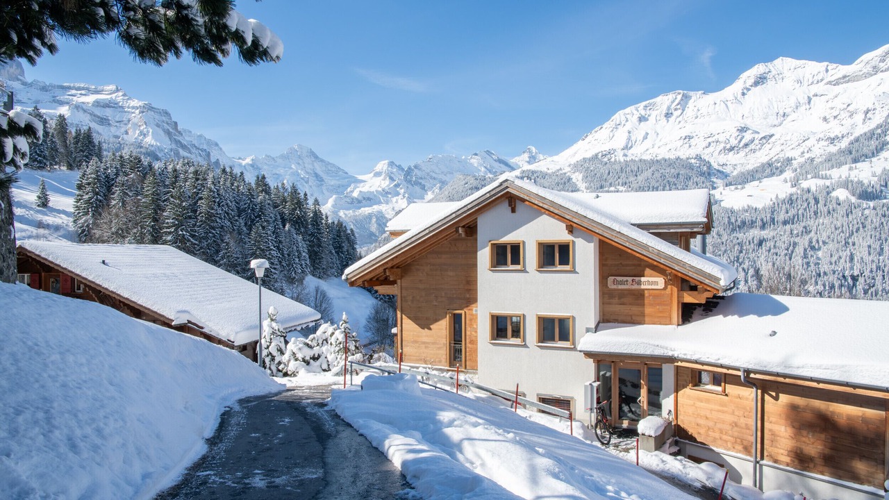 Photo of Others in Wengen